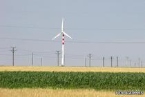 Energia eoliana nu mai este pe placul Guvernului