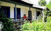 Casa din Delt��