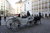 Caleasca in Viena