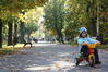 Toamna in Parcul Basilescu