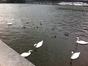 Vltava iarna