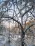 Hibernal��