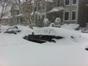 viscol in chicago (2)