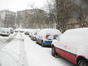 ninge!