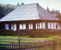 Fotogalerie: Galceava lemnului cu piatra