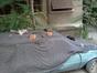 Dolce far niente
