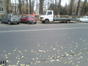 Parcarile publice
