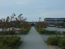 Campus Universitatea Aalborg