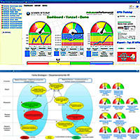 software-managementul-performantei-200-200