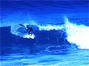 surf