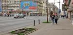 FOTOGALERIE Copaci lipsa bd. Magheru