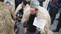 Protest al ciobanilor impotriva limitarii numarului de caini la stane