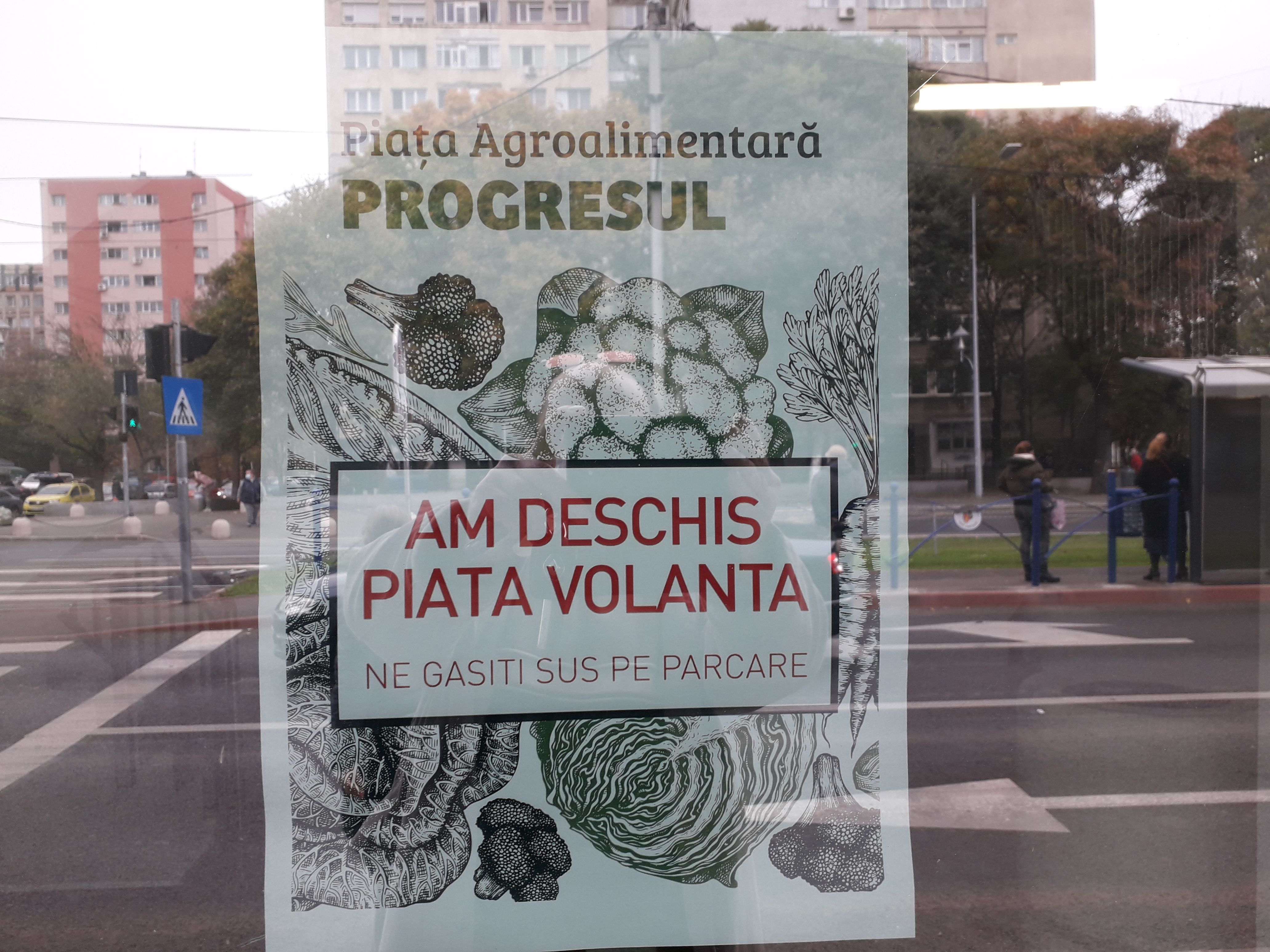 opțiunea iq cum să faci bani