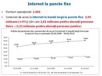 Piata de internet fix la jumatatea lui 2010