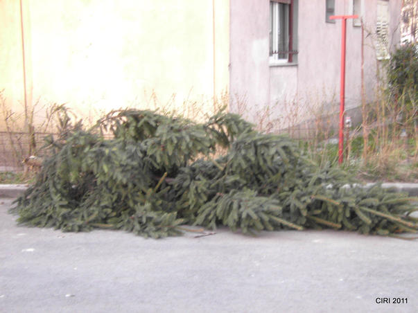 filmului