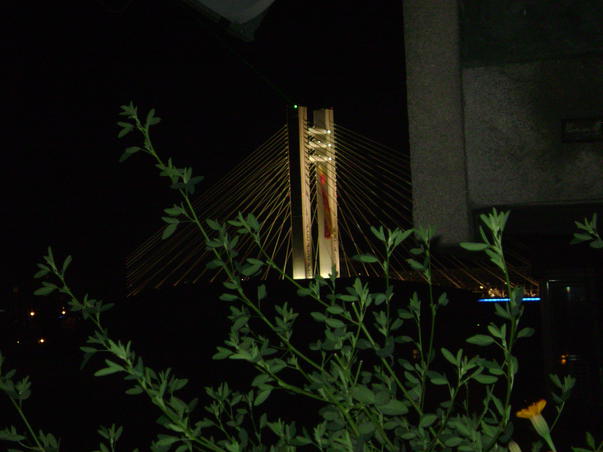 Podul Basarab noaptea