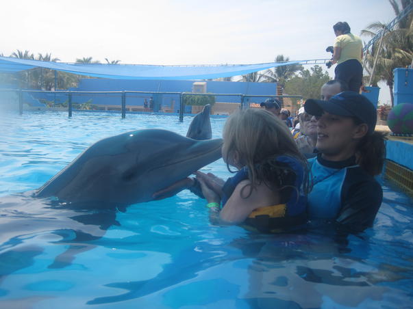 Zi de pupat delfini