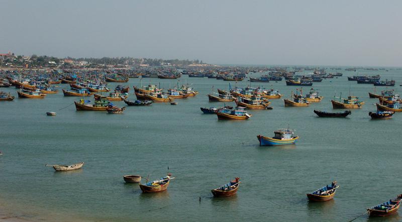 Sat pescaresc, Vietnam