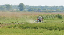 Agricultura in Romania