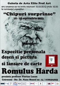 Expozitie Romulus Harda