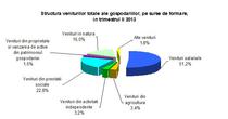 Veniturile populatiei, trim. II 2013
