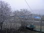 Zi de decembrie cu ceata si chiciura pe malul Dunarii