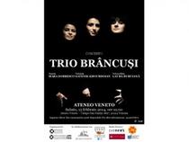 "Trio Brancusi" 