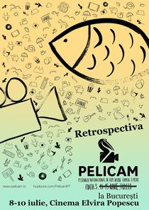 Retrospectiva Pelicam 2014