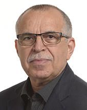 Victor Bostinaru, PSD