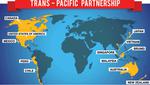 Tarile care negociaza Acordul transpacific de liber -schimb