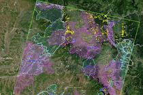 Zone padurite disparute (cu galben) intre 2000 si 2006 - experiment pe harta facut de ICAS