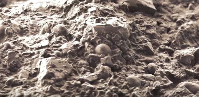 Actuator Oak garbage VIDEO Imagini realizate la microscop in lumea fascinanta a ciocolatei -  HotNews.ro