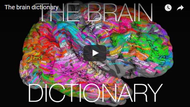 Cum arata harta semantica a creierului