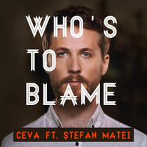 Stefan Matei in clipul "Who's To Blame"