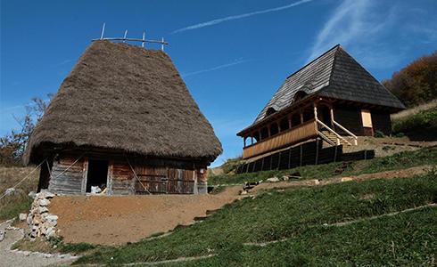 Case Vanatarile Ponorului