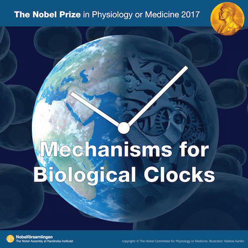 Nobel Medicina 2017