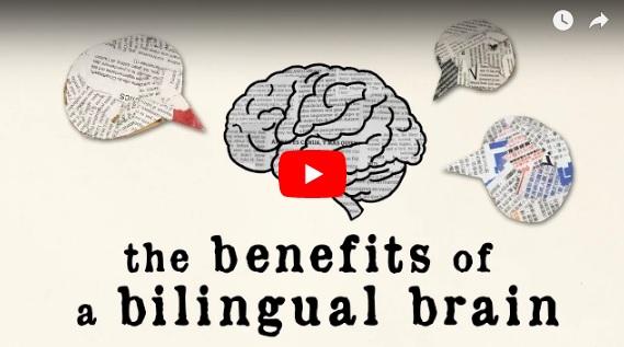 Beneficiile cunoasterii unei limbi straine