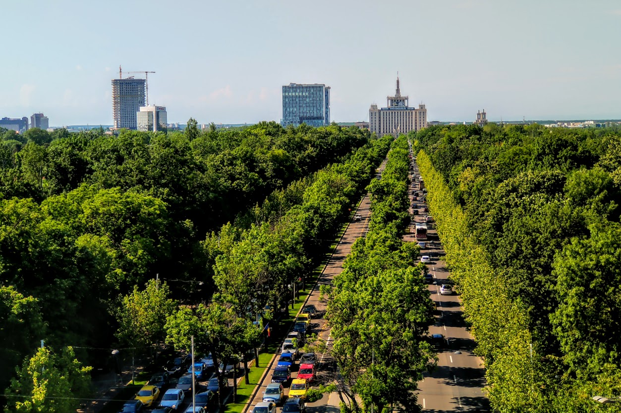 București: Banda unică pentru transportul public de pe bd. Regele Mihai I, dată în folosință
