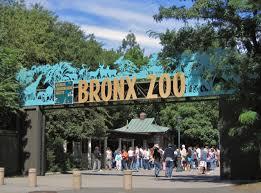 Grădina zoologică din Bronx