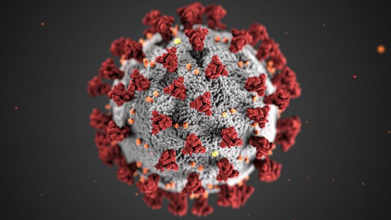 https://media.hotnews.ro/media_server1/image-2020-04-25-23926141-41-coronavirus.jpg