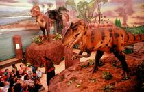 Dinozauri muzeu
