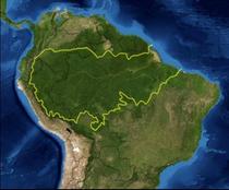 Ecoregiunea Amazoniei