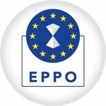 Parchetul European - EPPO