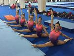 Echipa de gimnastica a Romaniei