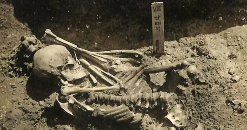 scheletul celei mai vechi victime a unui atac de rechin