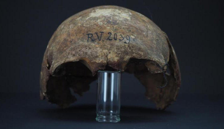 Craniul vanator-culegatorului descoperit in Letonia