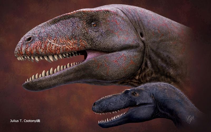 Un nou dinozaur descoperit in Uzbekistan