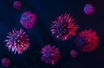 VIDEO OMS cataloghează noua variantă de coronavirus drept una îngrijorătoare / Primul caz de infectare cu noua tulpină africană a coronavirusului confirmat în Europa/ SUA închid granițele călătorilor din opt țări din Africa de Sud