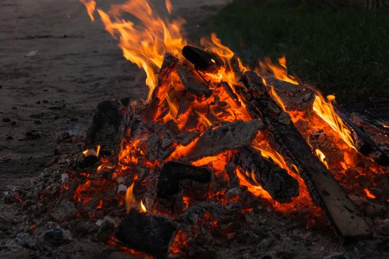 panic athlete Bother O poveste de acum peste un milion de ani - Cum a descoperit omul focul, cum  a învățat să-l producă și cum focul a ”încălzit” drumul către civilizație -  HotNews.ro