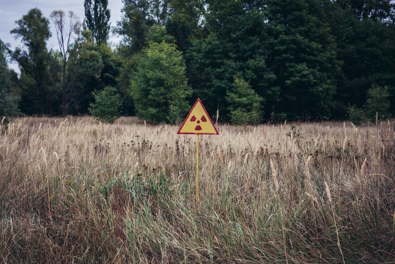 Avertisment privind radiațiile din Pădurea Roșie de lângă Cernobîl
